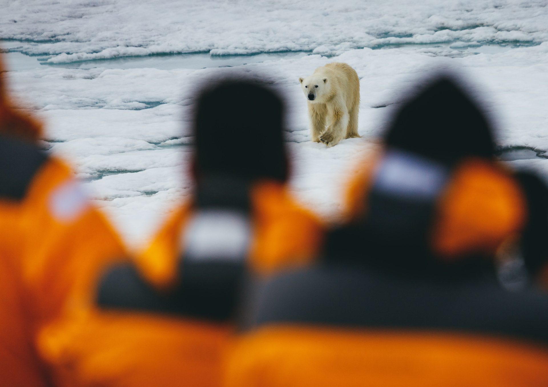 Antarctic Express, quark expeditions, Antarctic travel