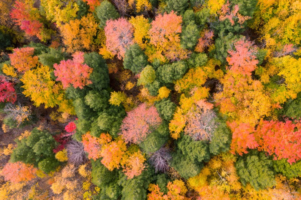 fall travel, new england, leaves changing color