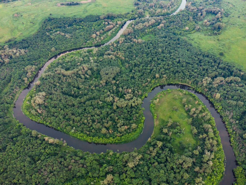 amazon river, amazon rainforest, amazon travel