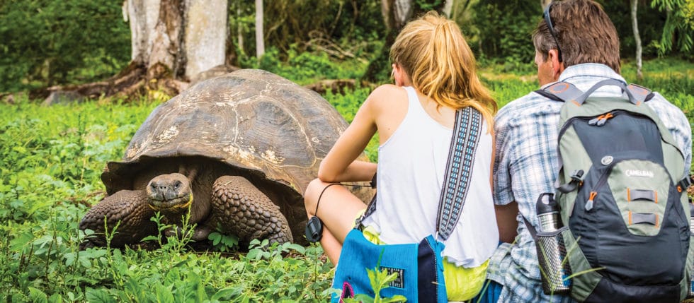 national geographic expeditions, galapagos travel, galapagos tortoise